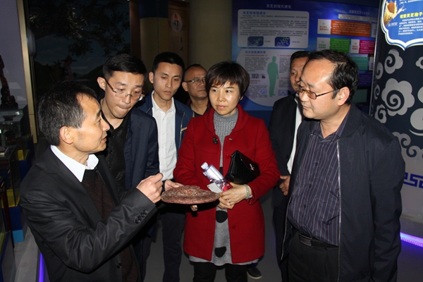 杭州亞運會官方靈芝產(chǎn)品供應商|杭州亞運會官方供應商|中國靈芝十大品牌|仙客來靈芝|仙客來靈芝破壁孢子粉|仙客來孢子油|仙客來靈芝飲片|仙客來破壁孢子粉|靈芝孢子油|孢子粉|靈芝破壁孢子粉|靈芝|中華老字號