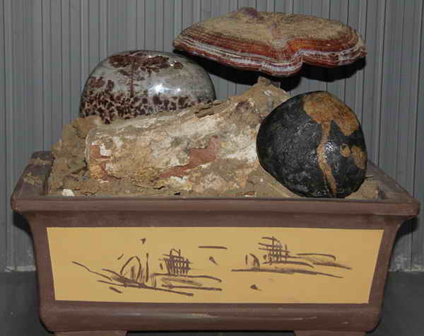 杭州亞運(yùn)會(huì)官方靈芝產(chǎn)品供應(yīng)商|杭州亞運(yùn)會(huì)官方供應(yīng)商|中國(guó)靈芝十大品牌|仙客來(lái)靈芝|仙客來(lái)靈芝破壁孢子粉|仙客來(lái)孢子油|仙客來(lái)靈芝飲片|仙客來(lái)破壁孢子粉|靈芝孢子油|孢子粉|靈芝破壁孢子粉|靈芝|中華老字號(hào) 杭州亞運(yùn)會(huì)官方靈芝產(chǎn)品供應(yīng)商|杭州亞運(yùn)會(huì)官方供應(yīng)商|中國(guó)靈芝十大品牌|仙客來(lái)靈芝|仙客來(lái)靈芝破壁孢子粉|仙客來(lái)孢子油|仙客來(lái)靈芝飲片|仙客來(lái)破壁孢子粉|靈芝孢子油|孢子粉|靈芝破壁孢子粉|靈芝|中華老字號(hào)