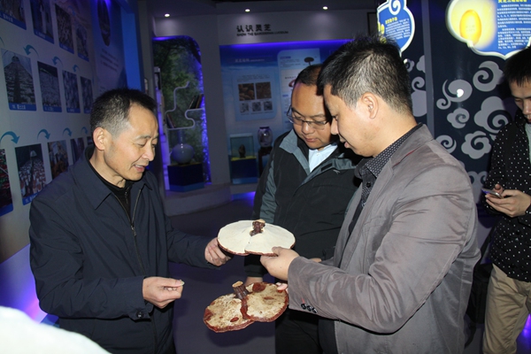 杭州亞運會官方靈芝產(chǎn)品供應商|杭州亞運會官方供應商|中國靈芝十大品牌|仙客來靈芝|仙客來靈芝破壁孢子粉|仙客來孢子油|仙客來靈芝飲片|仙客來破壁孢子粉|靈芝孢子油|孢子粉|靈芝破壁孢子粉|靈芝|中華老字號 杭州亞運會官方靈芝產(chǎn)品供應商|杭州亞運會官方供應商|中國靈芝十大品牌|仙客來靈芝|仙客來靈芝破壁孢子粉|仙客來孢子油|仙客來靈芝飲片|仙客來破壁孢子粉|靈芝孢子油|孢子粉|靈芝破壁孢子粉|靈芝|中華老字號