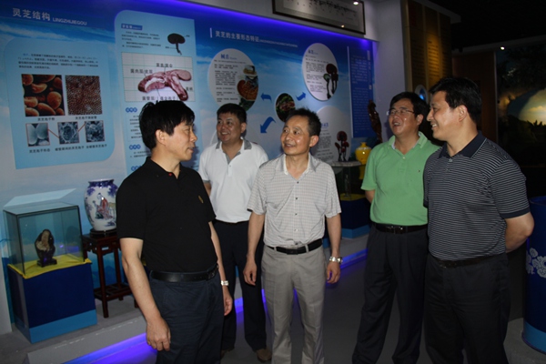 杭州亞運會官方靈芝產(chǎn)品供應(yīng)商|杭州亞運會官方供應(yīng)商|中國靈芝十大品牌|仙客來靈芝|仙客來靈芝破壁孢子粉|仙客來孢子油|仙客來靈芝飲片|仙客來破壁孢子粉|靈芝孢子油|孢子粉|靈芝破壁孢子粉|靈芝|中華老字號