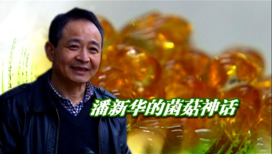 杭州亞運(yùn)會(huì)官方靈芝產(chǎn)品供應(yīng)商|杭州亞運(yùn)會(huì)官方供應(yīng)商|中國(guó)靈芝十大品牌|仙客來靈芝|仙客來靈芝破壁孢子粉|仙客來孢子油|仙客來靈芝飲片|仙客來破壁孢子粉|靈芝孢子油|孢子粉|靈芝破壁孢子粉|靈芝|中華老字號(hào)