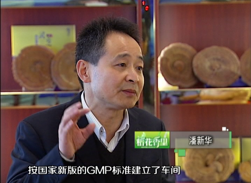 杭州亞運(yùn)會(huì)官方靈芝產(chǎn)品供應(yīng)商|杭州亞運(yùn)會(huì)官方供應(yīng)商|中國(guó)靈芝十大品牌|仙客來靈芝|仙客來靈芝破壁孢子粉|仙客來孢子油|仙客來靈芝飲片|仙客來破壁孢子粉|靈芝孢子油|孢子粉|靈芝破壁孢子粉|靈芝|中華老字號(hào)