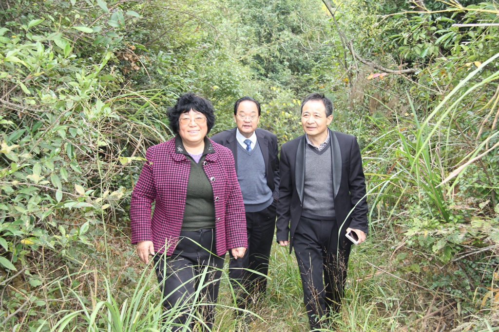 杭州亞運會官方靈芝產(chǎn)品供應(yīng)商|杭州亞運會官方供應(yīng)商|中國靈芝十大品牌|仙客來靈芝|仙客來靈芝破壁孢子粉|仙客來孢子油|仙客來靈芝飲片|仙客來破壁孢子粉|靈芝孢子油|孢子粉|靈芝破壁孢子粉|靈芝|中華老字號 杭州亞運會官方靈芝產(chǎn)品供應(yīng)商|杭州亞運會官方供應(yīng)商|中國靈芝十大品牌|仙客來靈芝|仙客來靈芝破壁孢子粉|仙客來孢子油|仙客來靈芝飲片|仙客來破壁孢子粉|靈芝孢子油|孢子粉|靈芝破壁孢子粉|靈芝|中華老字號