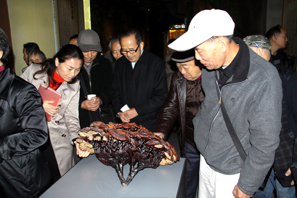 杭州亞運(yùn)會官方靈芝產(chǎn)品供應(yīng)商|杭州亞運(yùn)會官方供應(yīng)商|中國靈芝十大品牌|仙客來靈芝|仙客來靈芝破壁孢子粉|仙客來孢子油|仙客來靈芝飲片|仙客來破壁孢子粉|靈芝孢子油|孢子粉|靈芝破壁孢子粉|靈芝|中華老字號