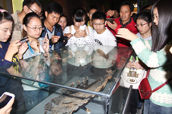 杭州亞運(yùn)會(huì)官方靈芝產(chǎn)品供應(yīng)商|杭州亞運(yùn)會(huì)官方供應(yīng)商|中國(guó)靈芝十大品牌|仙客來靈芝|仙客來靈芝破壁孢子粉|仙客來孢子油|仙客來靈芝飲片|仙客來破壁孢子粉|靈芝孢子油|孢子粉|靈芝破壁孢子粉|靈芝|中華老字號(hào)