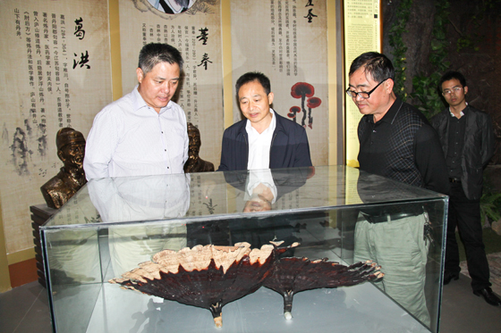 杭州亞運會官方靈芝產(chǎn)品供應(yīng)商|杭州亞運會官方供應(yīng)商|中國靈芝十大品牌|仙客來靈芝|仙客來靈芝破壁孢子粉|仙客來孢子油|仙客來靈芝飲片|仙客來破壁孢子粉|靈芝孢子油|孢子粉|靈芝破壁孢子粉|靈芝|中華老字號