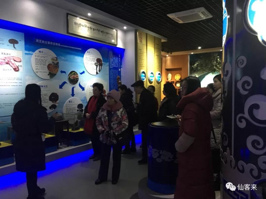 中國靈芝十大品牌|仙客來靈芝|仙客來靈芝破壁孢子粉|仙客來孢子油|仙客來靈芝飲片|仙客來破壁孢子粉|仙客來靈芝中藥飲片|馳名商標(biāo)|m.mirangroup.cn| 中國靈芝十大品牌|仙客來靈芝|仙客來靈芝破壁孢子粉|仙客來孢子油|仙客來靈芝飲片|仙客來破壁孢子粉|仙客來靈芝中藥飲片|馳名商標(biāo)|m.mirangroup.cn|