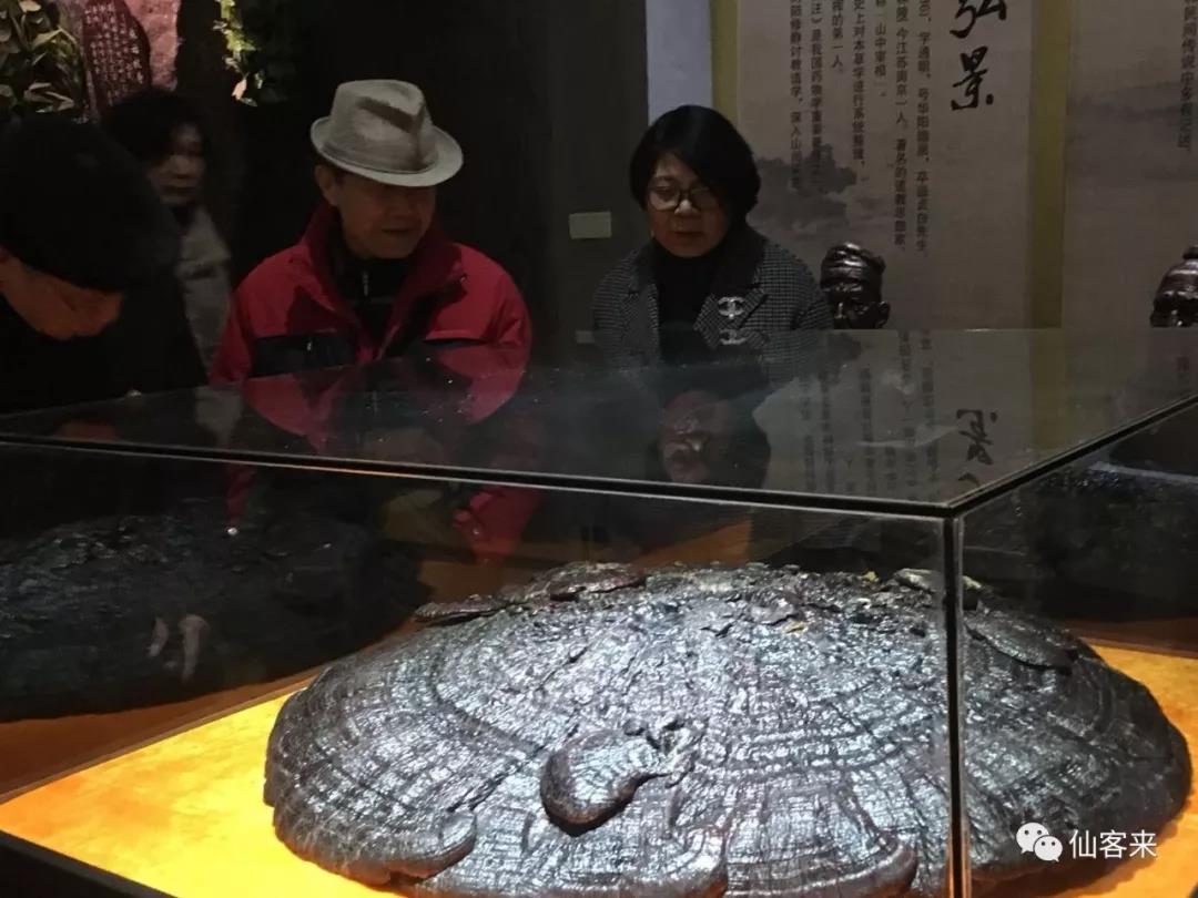 中國靈芝十大品牌|仙客來靈芝|仙客來靈芝破壁孢子粉|仙客來孢子油|仙客來靈芝飲片|仙客來破壁孢子粉|仙客來靈芝中藥飲片|馳名商標(biāo)|m.mirangroup.cn| 中國靈芝十大品牌|仙客來靈芝|仙客來靈芝破壁孢子粉|仙客來孢子油|仙客來靈芝飲片|仙客來破壁孢子粉|仙客來靈芝中藥飲片|馳名商標(biāo)|m.mirangroup.cn|