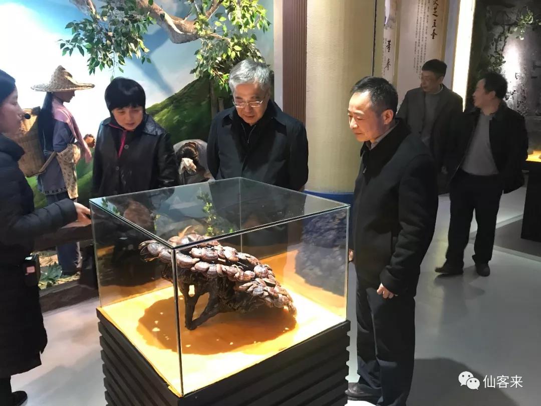 中國(guó)靈芝十大品牌|仙客來(lái)靈芝|仙客來(lái)靈芝破壁孢子粉|仙客來(lái)孢子油|仙客來(lái)靈芝飲片|仙客來(lái)破壁孢子粉|仙客來(lái)靈芝中藥飲片|馳名商標(biāo)|m.mirangroup.cn|