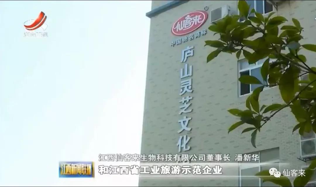 中國(guó)靈芝十大品牌|仙客來(lái)靈芝|仙客來(lái)靈芝破壁孢子粉|仙客來(lái)孢子油|仙客來(lái)靈芝飲片|仙客來(lái)破壁孢子粉|仙客來(lái)靈芝中藥飲片|馳名商標(biāo)|m.mirangroup.cn|