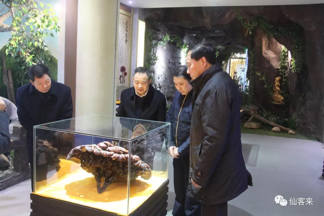 中國靈芝十大品牌|仙客來靈芝|仙客來靈芝破壁孢子粉|仙客來孢子油|仙客來靈芝飲片|仙客來破壁孢子粉|仙客來靈芝中藥飲片|馳名商標(biāo)|m.mirangroup.cn|