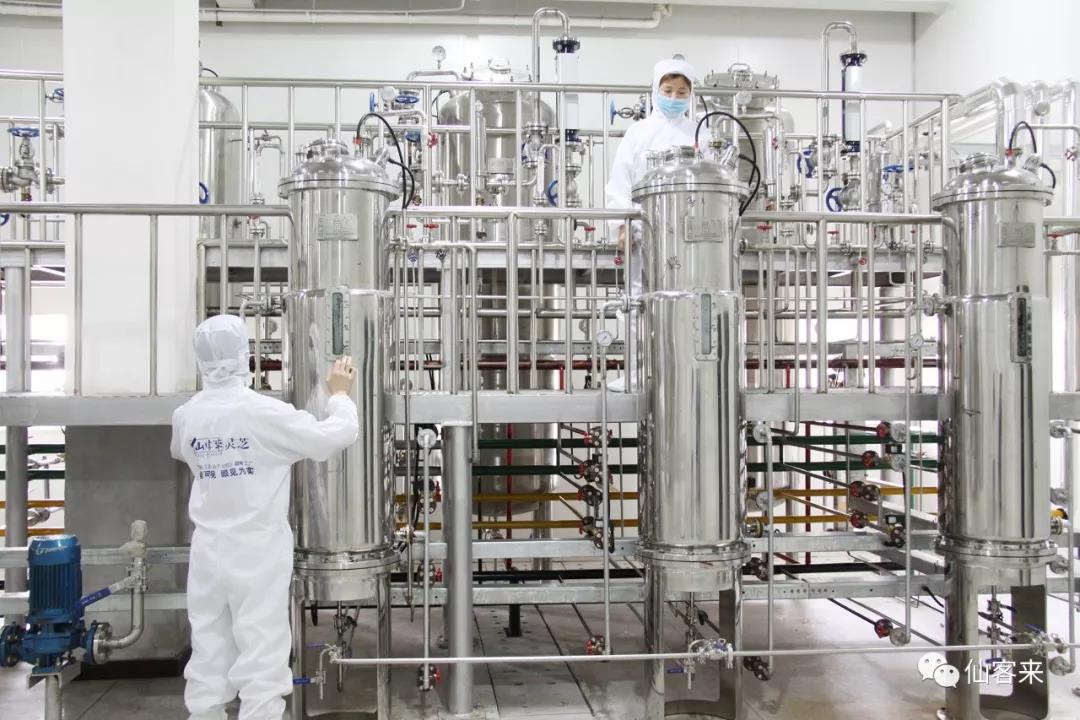 中國(guó)靈芝十大品牌|仙客來(lái)靈芝|仙客來(lái)靈芝破壁孢子粉|仙客來(lái)孢子油|仙客來(lái)靈芝飲片|仙客來(lái)破壁孢子粉|仙客來(lái)靈芝中藥飲片|馳名商標(biāo)|m.mirangroup.cn|