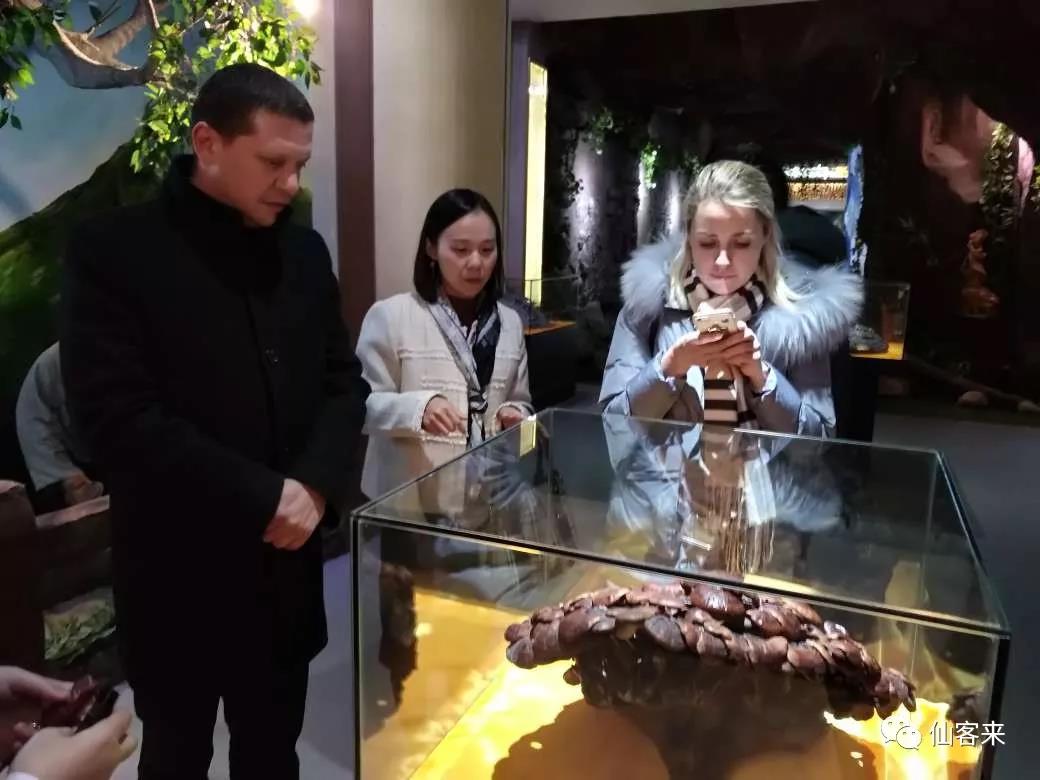 中國(guó)靈芝十大品牌|仙客來(lái)靈芝|仙客來(lái)靈芝破壁孢子粉|仙客來(lái)孢子油|仙客來(lái)靈芝飲片|仙客來(lái)破壁孢子粉|仙客來(lái)靈芝中藥飲片|馳名商標(biāo)|m.mirangroup.cn| 中國(guó)靈芝十大品牌|仙客來(lái)靈芝|仙客來(lái)靈芝破壁孢子粉|仙客來(lái)孢子油|仙客來(lái)靈芝飲片|仙客來(lái)破壁孢子粉|仙客來(lái)靈芝中藥飲片|馳名商標(biāo)|m.mirangroup.cn|