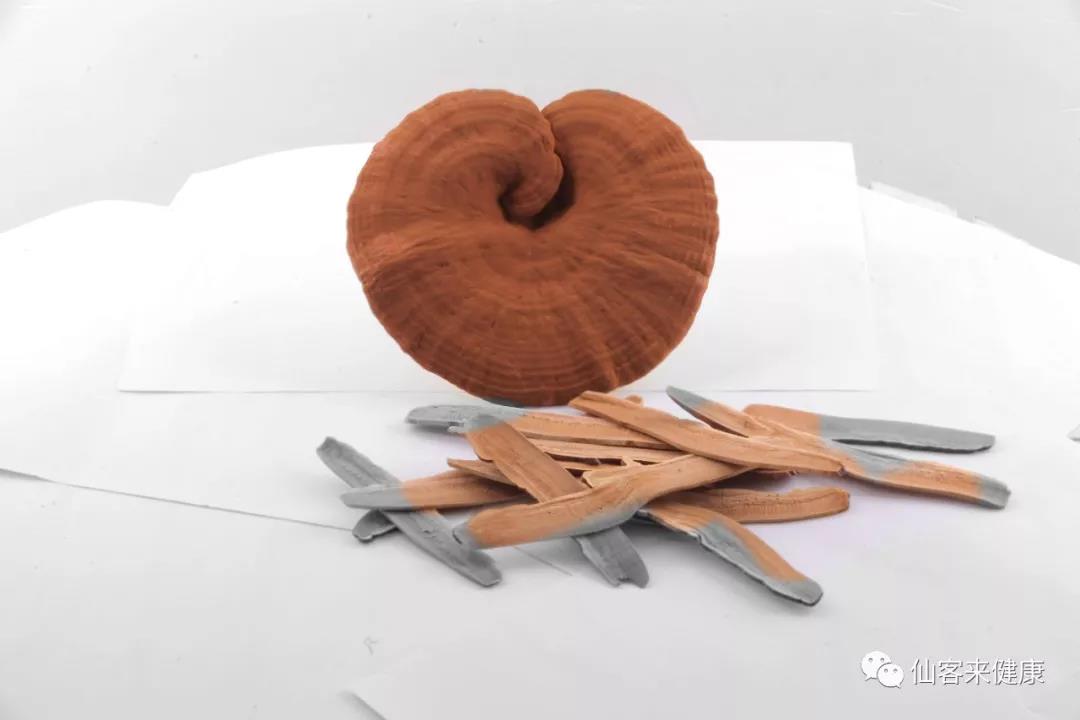 中國靈芝十大品牌|仙客來靈芝|仙客來靈芝破壁孢子粉|仙客來孢子油|仙客來靈芝飲片|仙客來破壁孢子粉|仙客來靈芝中藥飲片|馳名商標(biāo)|m.mirangroup.cn| 中國靈芝十大品牌|仙客來靈芝|仙客來靈芝破壁孢子粉|仙客來孢子油|仙客來靈芝飲片|仙客來破壁孢子粉|仙客來靈芝中藥飲片|馳名商標(biāo)|m.mirangroup.cn|