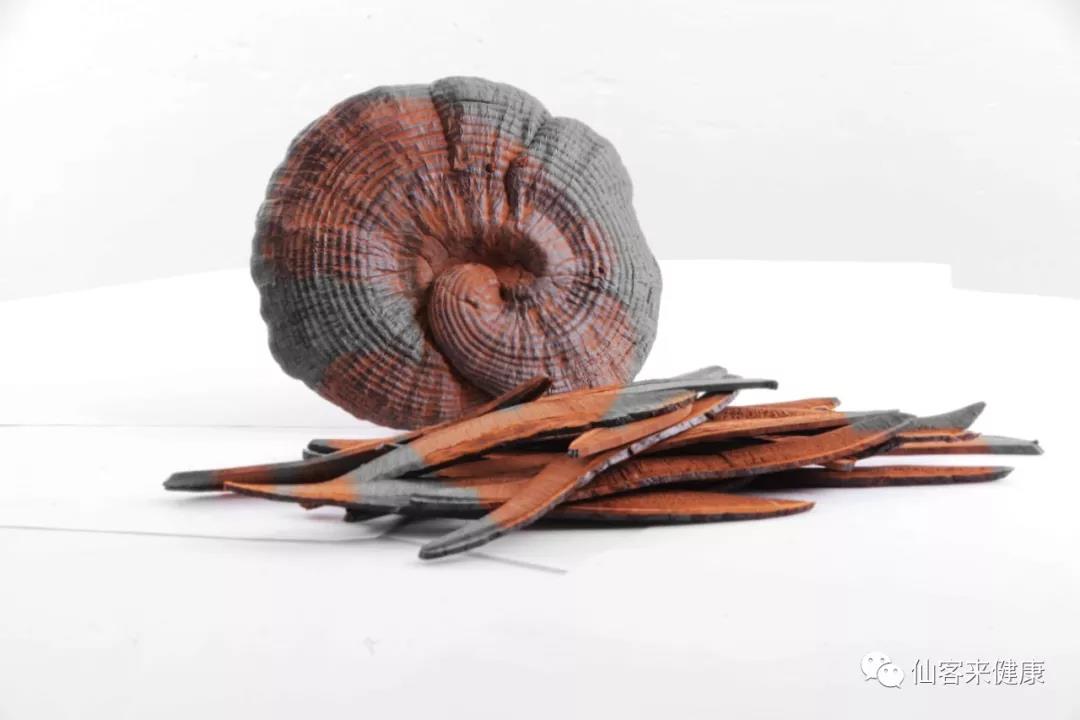 中國靈芝十大品牌|仙客來靈芝|仙客來靈芝破壁孢子粉|仙客來孢子油|仙客來靈芝飲片|仙客來破壁孢子粉|仙客來靈芝中藥飲片|馳名商標(biāo)|m.mirangroup.cn| 中國靈芝十大品牌|仙客來靈芝|仙客來靈芝破壁孢子粉|仙客來孢子油|仙客來靈芝飲片|仙客來破壁孢子粉|仙客來靈芝中藥飲片|馳名商標(biāo)|m.mirangroup.cn|