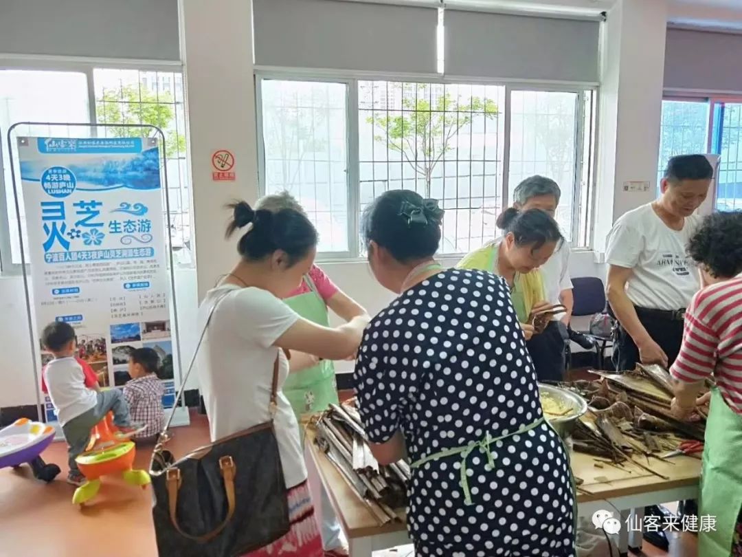 杭州亞運(yùn)會官方靈芝產(chǎn)品供應(yīng)商|杭州亞運(yùn)會官方供應(yīng)商|中國靈芝十大品牌|仙客來靈芝|仙客來靈芝破壁孢子粉|仙客來孢子油|仙客來靈芝飲片|仙客來破壁孢子粉|靈芝孢子油|孢子粉|靈芝破壁孢子粉|靈芝|中華老字號 杭州亞運(yùn)會官方靈芝產(chǎn)品供應(yīng)商|杭州亞運(yùn)會官方供應(yīng)商|中國靈芝十大品牌|仙客來靈芝|仙客來靈芝破壁孢子粉|仙客來孢子油|仙客來靈芝飲片|仙客來破壁孢子粉|靈芝孢子油|孢子粉|靈芝破壁孢子粉|靈芝|中華老字號