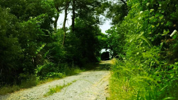 中國靈芝十大品牌|仙客來靈芝|仙客來靈芝破壁孢子粉|仙客來孢子油|仙客來靈芝飲片|仙客來破壁孢子粉|仙客來靈芝中藥飲片|馳名商標|m.mirangroup.cn|