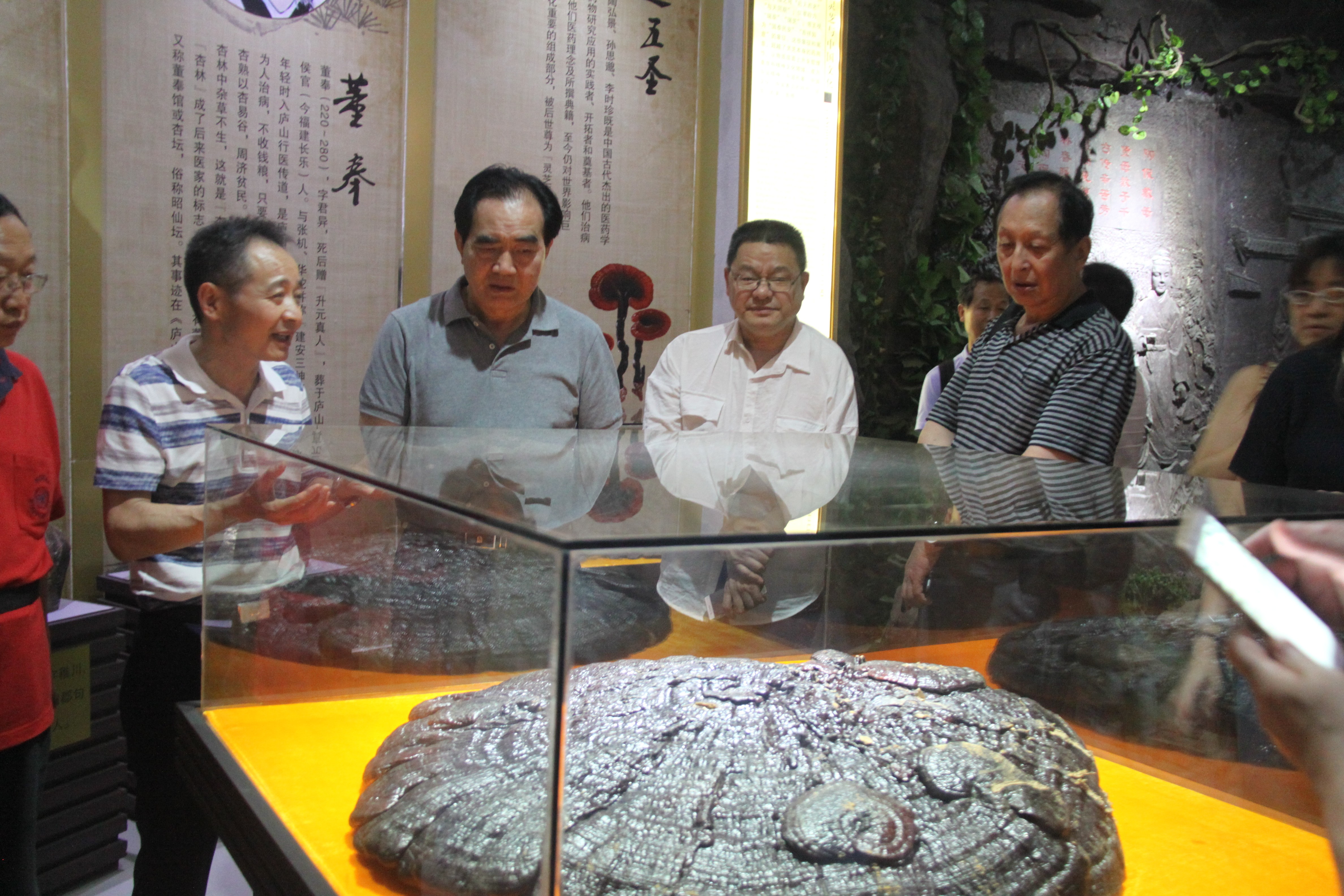 中國(guó)靈芝十大品牌|仙客來(lái)靈芝|仙客來(lái)靈芝破壁孢子粉|仙客來(lái)孢子油|仙客來(lái)靈芝飲片|仙客來(lái)破壁孢子粉|仙客來(lái)靈芝中藥飲片|馳名商標(biāo)|m.mirangroup.cn|