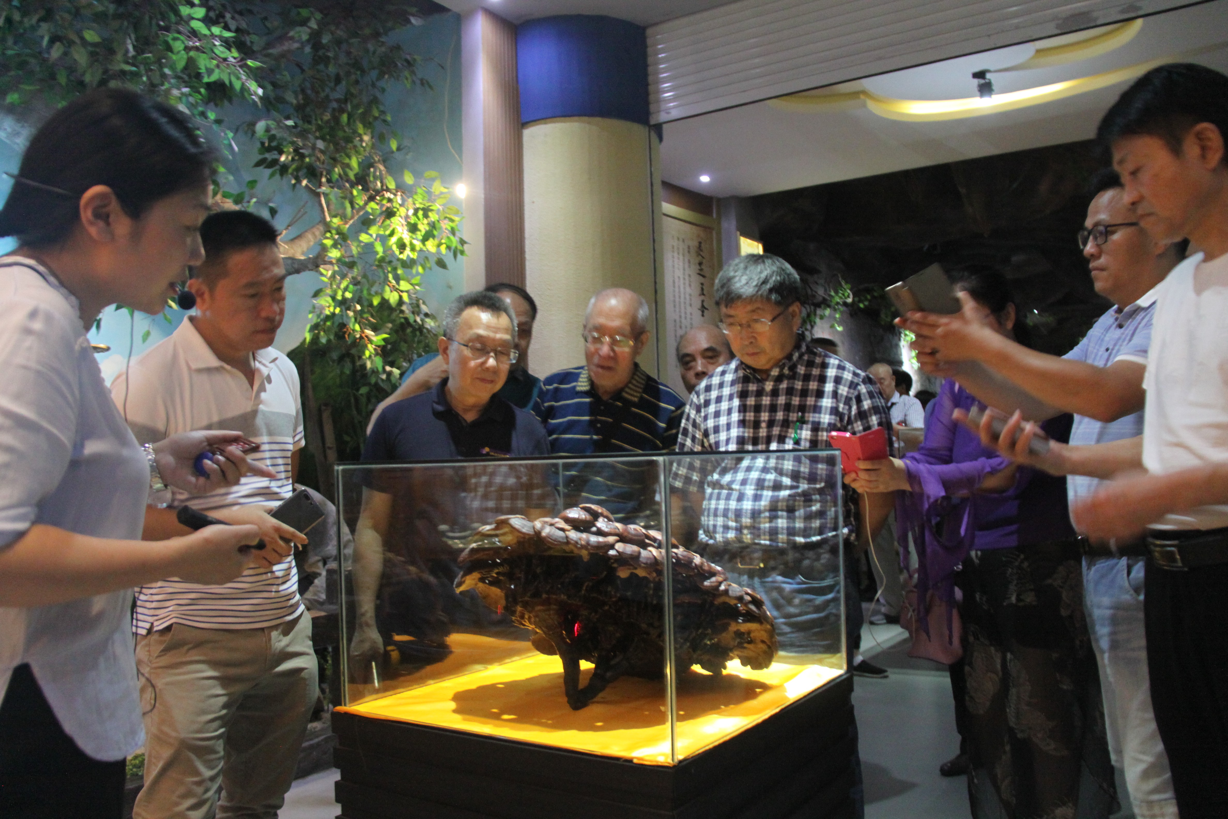 中國(guó)靈芝十大品牌|仙客來(lái)靈芝|仙客來(lái)靈芝破壁孢子粉|仙客來(lái)孢子油|仙客來(lái)靈芝飲片|仙客來(lái)破壁孢子粉|仙客來(lái)靈芝中藥飲片|馳名商標(biāo)|m.mirangroup.cn|