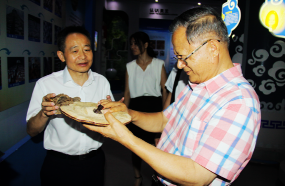 中國靈芝十大品牌|仙客來靈芝|仙客來靈芝破壁孢子粉|仙客來孢子油|仙客來靈芝飲片|仙客來破壁孢子粉|仙客來靈芝中藥飲片|馳名商標|m.mirangroup.cn| 中國靈芝十大品牌|仙客來靈芝|仙客來靈芝破壁孢子粉|仙客來孢子油|仙客來靈芝飲片|仙客來破壁孢子粉|仙客來靈芝中藥飲片|馳名商標|m.mirangroup.cn|