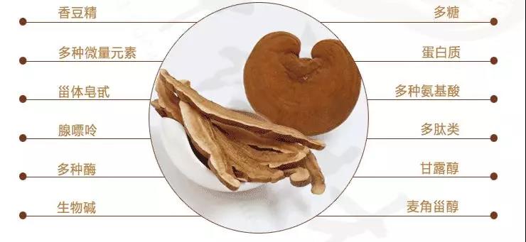 中國靈芝十大品牌|仙客來靈芝|仙客來靈芝破壁孢子粉|仙客來孢子油|仙客來靈芝飲片|仙客來破壁孢子粉|仙客來靈芝中藥飲片|馳名商標|m.mirangroup.cn| 中國靈芝十大品牌|仙客來靈芝|仙客來靈芝破壁孢子粉|仙客來孢子油|仙客來靈芝飲片|仙客來破壁孢子粉|仙客來靈芝中藥飲片|馳名商標|m.mirangroup.cn|