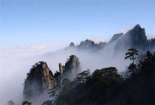 中國靈芝十大品牌|仙客來靈芝|仙客來靈芝破壁孢子粉|仙客來孢子油|仙客來靈芝飲片|仙客來破壁孢子粉|仙客來靈芝中藥飲片|馳名商標|m.mirangroup.cn|