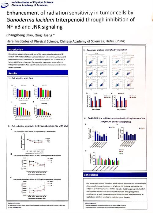 中國(guó)靈芝十大品牌|仙客來(lái)靈芝|仙客來(lái)靈芝破壁孢子粉|仙客來(lái)孢子油|仙客來(lái)靈芝飲片|仙客來(lái)破壁孢子粉|仙客來(lái)靈芝中藥飲片|馳名商標(biāo)|m.mirangroup.cn|