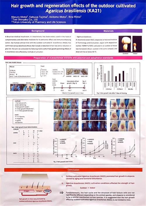中國(guó)靈芝十大品牌|仙客來(lái)靈芝|仙客來(lái)靈芝破壁孢子粉|仙客來(lái)孢子油|仙客來(lái)靈芝飲片|仙客來(lái)破壁孢子粉|仙客來(lái)靈芝中藥飲片|馳名商標(biāo)|m.mirangroup.cn|