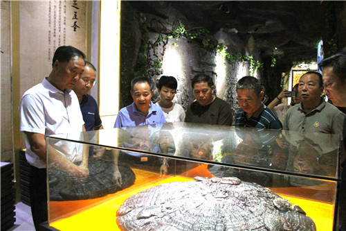 中國(guó)靈芝十大品牌|仙客來(lái)靈芝|仙客來(lái)靈芝破壁孢子粉|仙客來(lái)孢子油|仙客來(lái)靈芝飲片|仙客來(lái)破壁孢子粉|仙客來(lái)靈芝中藥飲片|馳名商標(biāo)|m.mirangroup.cn|