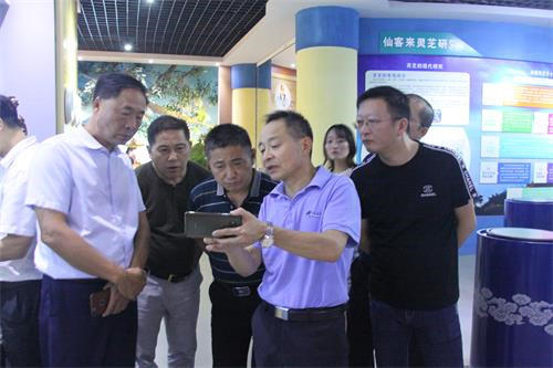 中國(guó)靈芝十大品牌|仙客來(lái)靈芝|仙客來(lái)靈芝破壁孢子粉|仙客來(lái)孢子油|仙客來(lái)靈芝飲片|仙客來(lái)破壁孢子粉|仙客來(lái)靈芝中藥飲片|馳名商標(biāo)|m.mirangroup.cn|