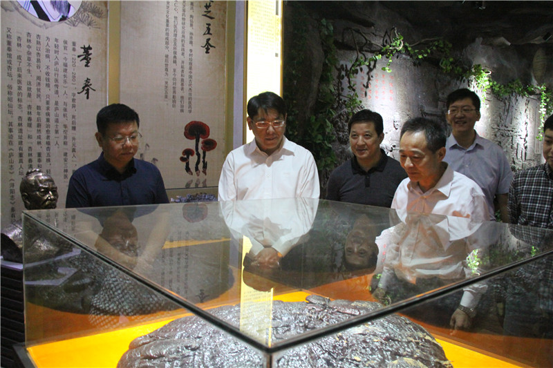 中國靈芝十大品牌|仙客來靈芝|仙客來靈芝破壁孢子粉|仙客來孢子油|仙客來靈芝飲片|仙客來破壁孢子粉|仙客來靈芝中藥飲片|馳名商標|m.mirangroup.cn| 中國靈芝十大品牌|仙客來靈芝|仙客來靈芝破壁孢子粉|仙客來孢子油|仙客來靈芝飲片|仙客來破壁孢子粉|仙客來靈芝中藥飲片|馳名商標|m.mirangroup.cn|