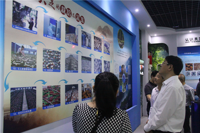 中國靈芝十大品牌|仙客來靈芝|仙客來靈芝破壁孢子粉|仙客來孢子油|仙客來靈芝飲片|仙客來破壁孢子粉|仙客來靈芝中藥飲片|馳名商標|m.mirangroup.cn| 中國靈芝十大品牌|仙客來靈芝|仙客來靈芝破壁孢子粉|仙客來孢子油|仙客來靈芝飲片|仙客來破壁孢子粉|仙客來靈芝中藥飲片|馳名商標|m.mirangroup.cn|