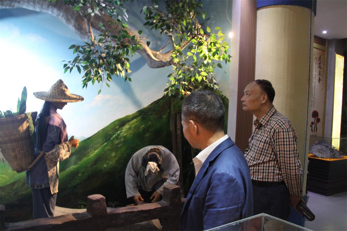 中國靈芝十大品牌|仙客來靈芝|仙客來靈芝破壁孢子粉|仙客來孢子油|仙客來靈芝飲片|仙客來破壁孢子粉|仙客來靈芝中藥飲片|馳名商標(biāo)|m.mirangroup.cn|