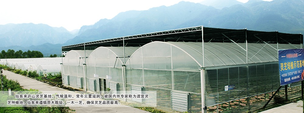 中國靈芝十大品牌|仙客來靈芝|仙客來靈芝破壁孢子粉|仙客來孢子油|仙客來靈芝飲片|仙客來破壁孢子粉|仙客來靈芝中藥飲片|馳名商標(biāo)|m.mirangroup.cn|