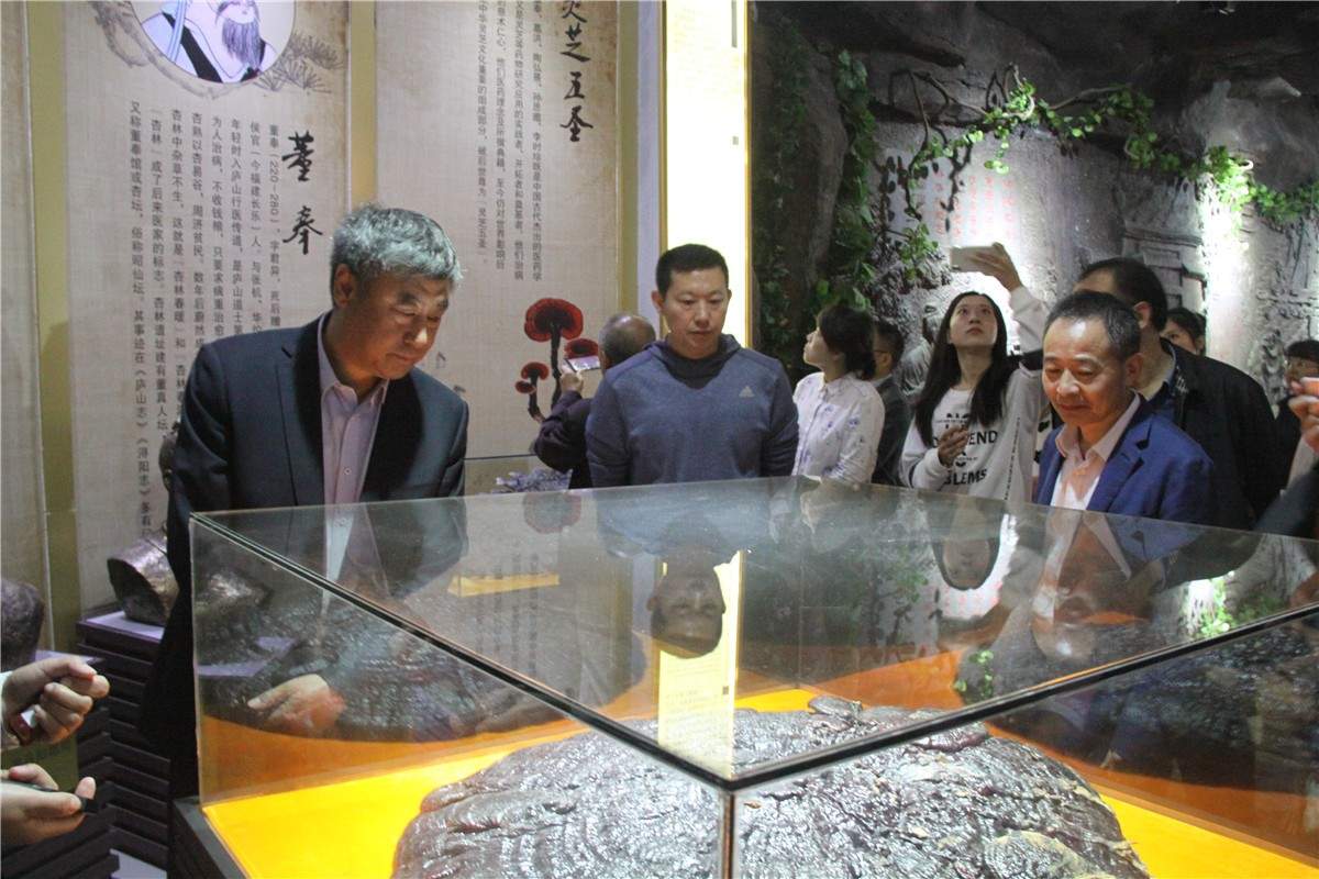 中國(guó)靈芝十大品牌|仙客來(lái)靈芝|仙客來(lái)靈芝破壁孢子粉|仙客來(lái)孢子油|仙客來(lái)靈芝飲片|仙客來(lái)破壁孢子粉|仙客來(lái)靈芝中藥飲片|馳名商標(biāo)|m.mirangroup.cn| 中國(guó)靈芝十大品牌|仙客來(lái)靈芝|仙客來(lái)靈芝破壁孢子粉|仙客來(lái)孢子油|仙客來(lái)靈芝飲片|仙客來(lái)破壁孢子粉|仙客來(lái)靈芝中藥飲片|馳名商標(biāo)|m.mirangroup.cn|