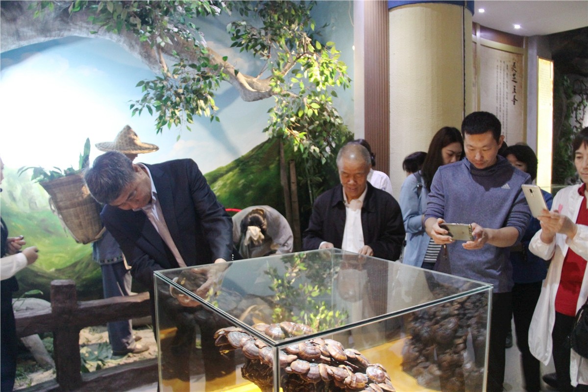 中國(guó)靈芝十大品牌|仙客來(lái)靈芝|仙客來(lái)靈芝破壁孢子粉|仙客來(lái)孢子油|仙客來(lái)靈芝飲片|仙客來(lái)破壁孢子粉|仙客來(lái)靈芝中藥飲片|馳名商標(biāo)|m.mirangroup.cn| 中國(guó)靈芝十大品牌|仙客來(lái)靈芝|仙客來(lái)靈芝破壁孢子粉|仙客來(lái)孢子油|仙客來(lái)靈芝飲片|仙客來(lái)破壁孢子粉|仙客來(lái)靈芝中藥飲片|馳名商標(biāo)|m.mirangroup.cn|