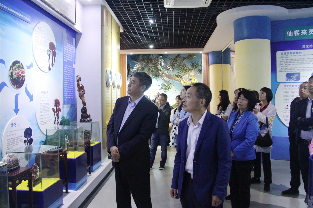 中國(guó)靈芝十大品牌|仙客來(lái)靈芝|仙客來(lái)靈芝破壁孢子粉|仙客來(lái)孢子油|仙客來(lái)靈芝飲片|仙客來(lái)破壁孢子粉|仙客來(lái)靈芝中藥飲片|馳名商標(biāo)|m.mirangroup.cn| 中國(guó)靈芝十大品牌|仙客來(lái)靈芝|仙客來(lái)靈芝破壁孢子粉|仙客來(lái)孢子油|仙客來(lái)靈芝飲片|仙客來(lái)破壁孢子粉|仙客來(lái)靈芝中藥飲片|馳名商標(biāo)|m.mirangroup.cn|