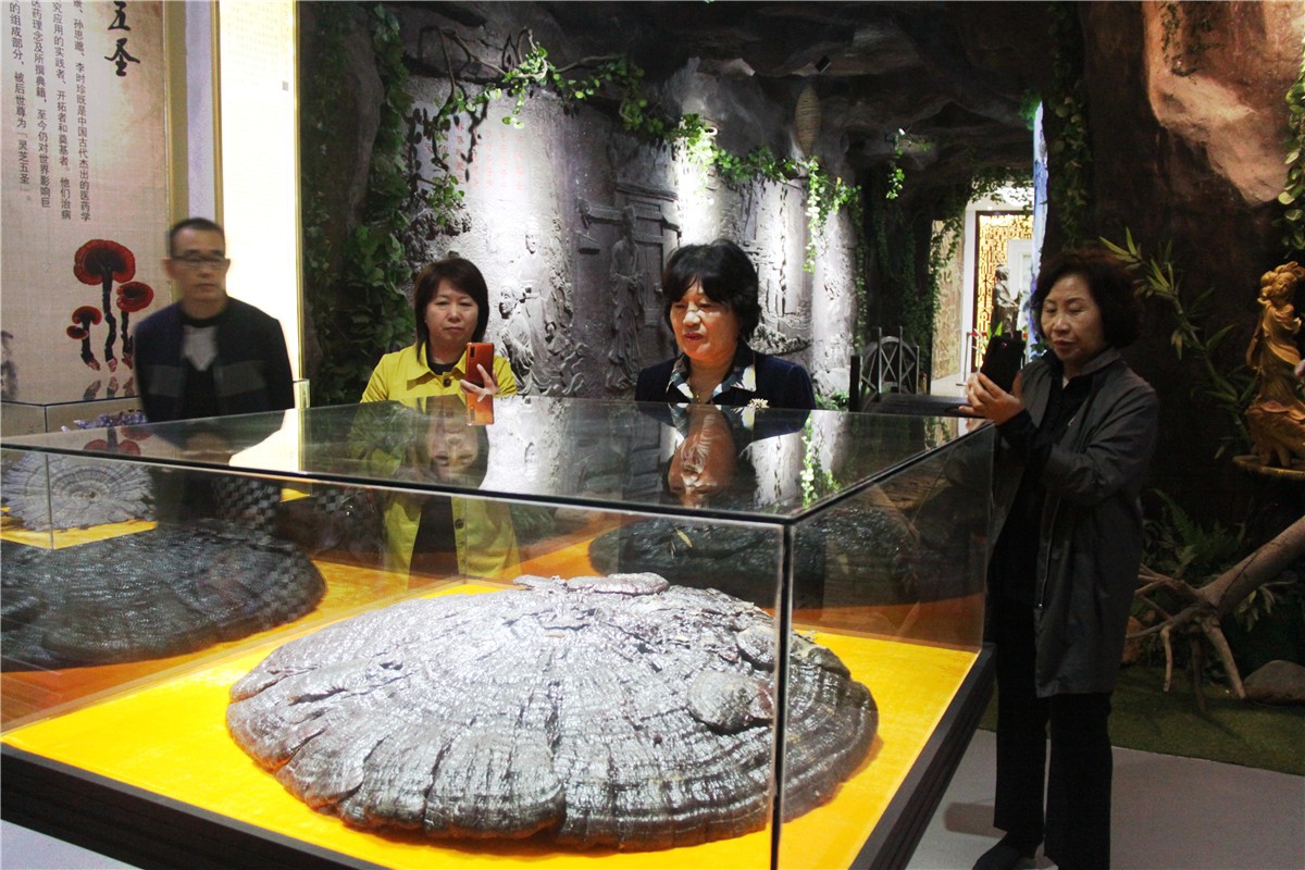 中國(guó)靈芝十大品牌|仙客來(lái)靈芝|仙客來(lái)靈芝破壁孢子粉|仙客來(lái)孢子油|仙客來(lái)靈芝飲片|仙客來(lái)破壁孢子粉|仙客來(lái)靈芝中藥飲片|馳名商標(biāo)|m.mirangroup.cn|