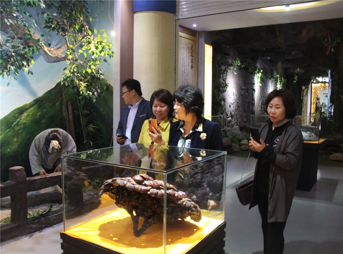 中國(guó)靈芝十大品牌|仙客來(lái)靈芝|仙客來(lái)靈芝破壁孢子粉|仙客來(lái)孢子油|仙客來(lái)靈芝飲片|仙客來(lái)破壁孢子粉|仙客來(lái)靈芝中藥飲片|馳名商標(biāo)|m.mirangroup.cn|