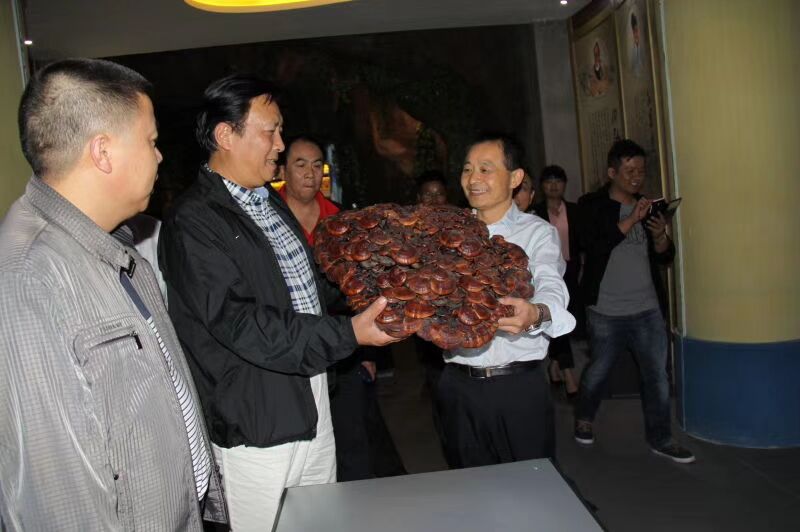 中國靈芝十大品牌|仙客來靈芝|仙客來靈芝破壁孢子粉|仙客來孢子油|仙客來靈芝飲片|仙客來破壁孢子粉|仙客來靈芝中藥飲片|馳名商標|m.mirangroup.cn|