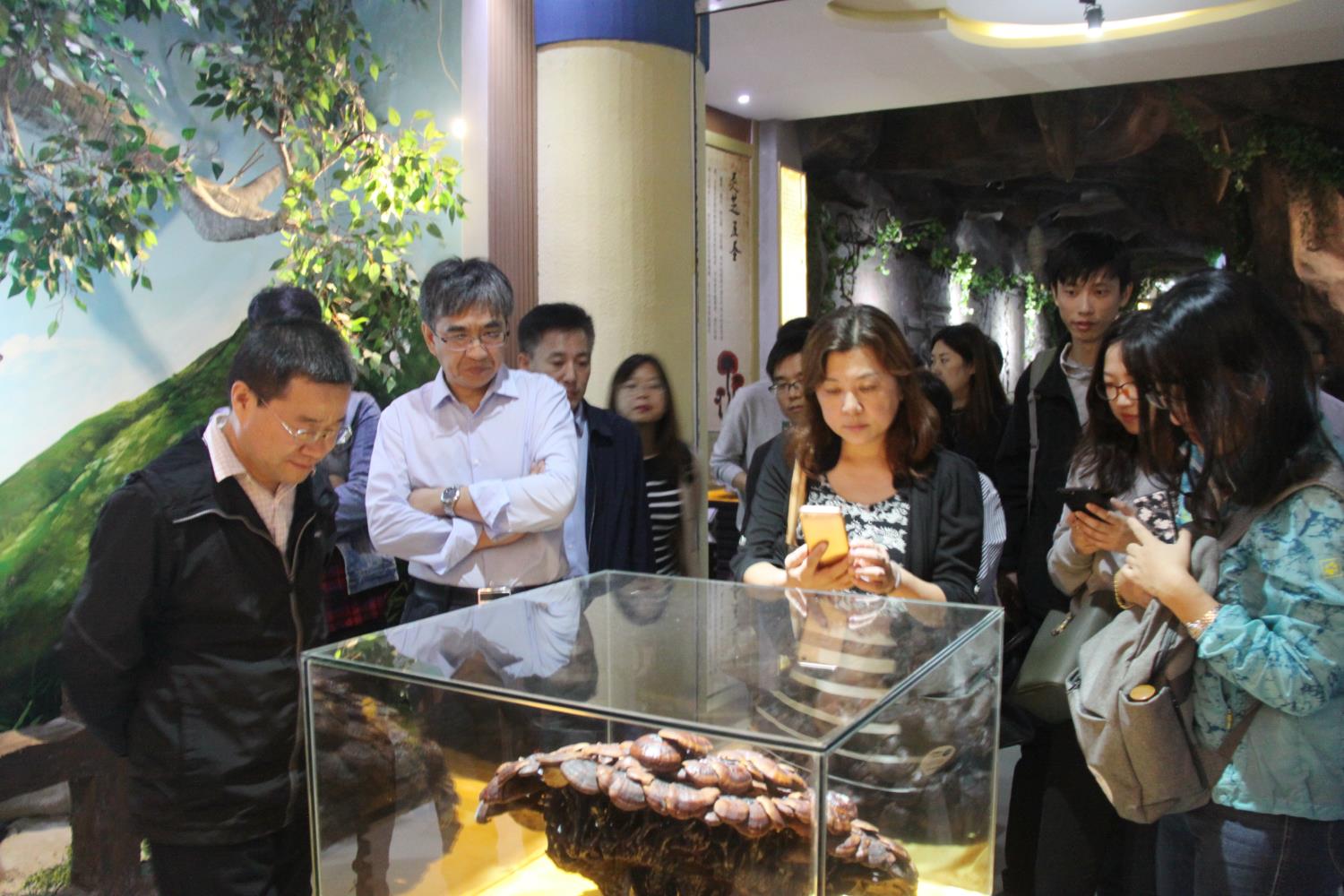 中國靈芝十大品牌|仙客來靈芝|仙客來靈芝破壁孢子粉|仙客來孢子油|仙客來靈芝飲片|仙客來破壁孢子粉|仙客來靈芝中藥飲片|馳名商標(biāo)|m.mirangroup.cn| 中國靈芝十大品牌|仙客來靈芝|仙客來靈芝破壁孢子粉|仙客來孢子油|仙客來靈芝飲片|仙客來破壁孢子粉|仙客來靈芝中藥飲片|馳名商標(biāo)|m.mirangroup.cn|