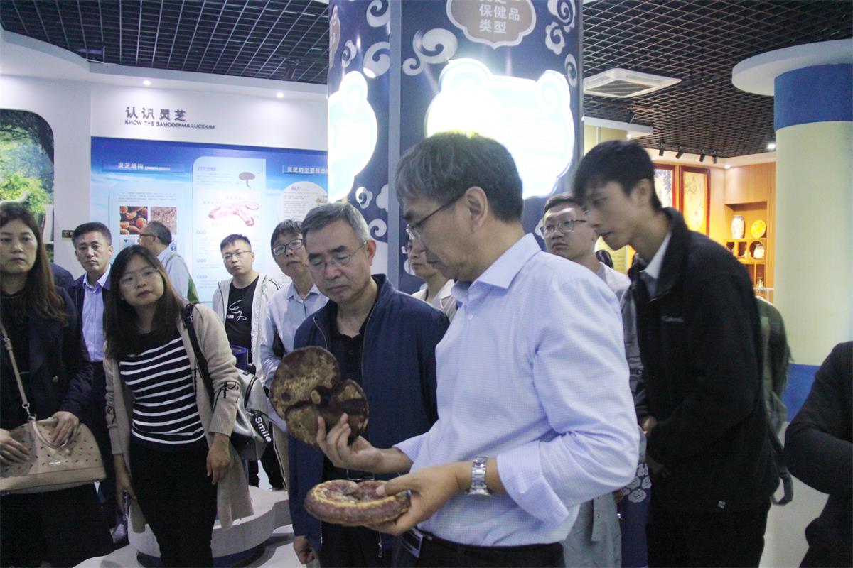 中國靈芝十大品牌|仙客來靈芝|仙客來靈芝破壁孢子粉|仙客來孢子油|仙客來靈芝飲片|仙客來破壁孢子粉|仙客來靈芝中藥飲片|馳名商標(biāo)|m.mirangroup.cn| 中國靈芝十大品牌|仙客來靈芝|仙客來靈芝破壁孢子粉|仙客來孢子油|仙客來靈芝飲片|仙客來破壁孢子粉|仙客來靈芝中藥飲片|馳名商標(biāo)|m.mirangroup.cn|