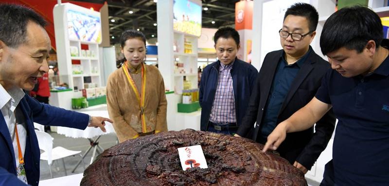 中國靈芝十大品牌|仙客來靈芝|仙客來靈芝破壁孢子粉|仙客來孢子油|仙客來靈芝飲片|仙客來破壁孢子粉|仙客來靈芝中藥飲片|馳名商標(biāo)|m.mirangroup.cn|