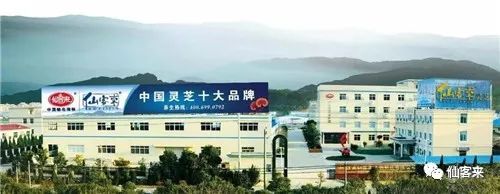 中國靈芝十大品牌|仙客來靈芝|仙客來靈芝破壁孢子粉|仙客來孢子油|仙客來靈芝飲片|仙客來破壁孢子粉|仙客來靈芝中藥飲片|馳名商標(biāo)|m.mirangroup.cn|