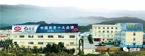 中國(guó)靈芝十大品牌|仙客來(lái)靈芝|仙客來(lái)靈芝破壁孢子粉|仙客來(lái)孢子油|仙客來(lái)靈芝飲片|仙客來(lái)破壁孢子粉|仙客來(lái)靈芝中藥飲片|馳名商標(biāo)|m.mirangroup.cn| 中國(guó)靈芝十大品牌|仙客來(lái)靈芝|仙客來(lái)靈芝破壁孢子粉|仙客來(lái)孢子油|仙客來(lái)靈芝飲片|仙客來(lái)破壁孢子粉|仙客來(lái)靈芝中藥飲片|馳名商標(biāo)|m.mirangroup.cn|