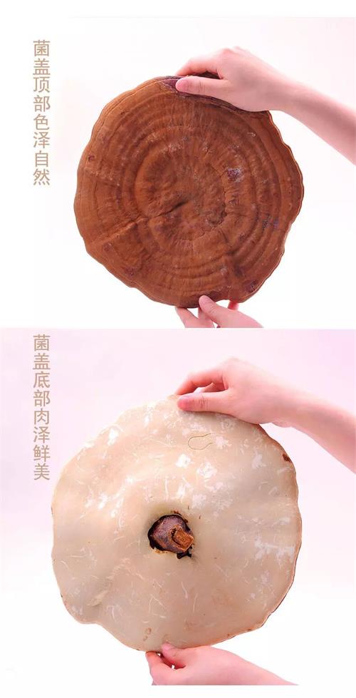 1589361585353953.jpg 85006D5912F08254564947284AC334F2 - 副本.jpg