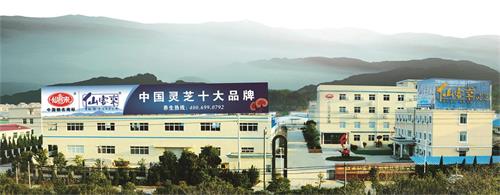 1592984690861981.jpg 仙客來牌圖.jpg