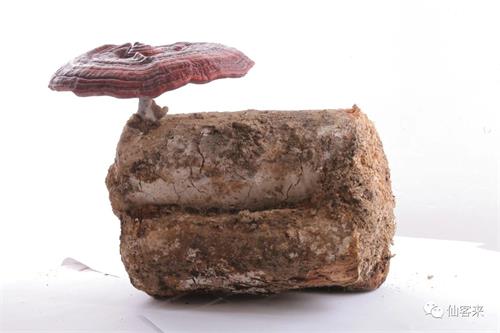 1593418467868973.jpg DDED5817A0741A8085BE498AF934AEE7.jpg