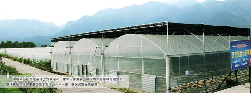 1594200311850689.jpg 153079202677715.jpg