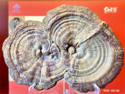 1596071048784790.jpeg IMG_3538.jpeg